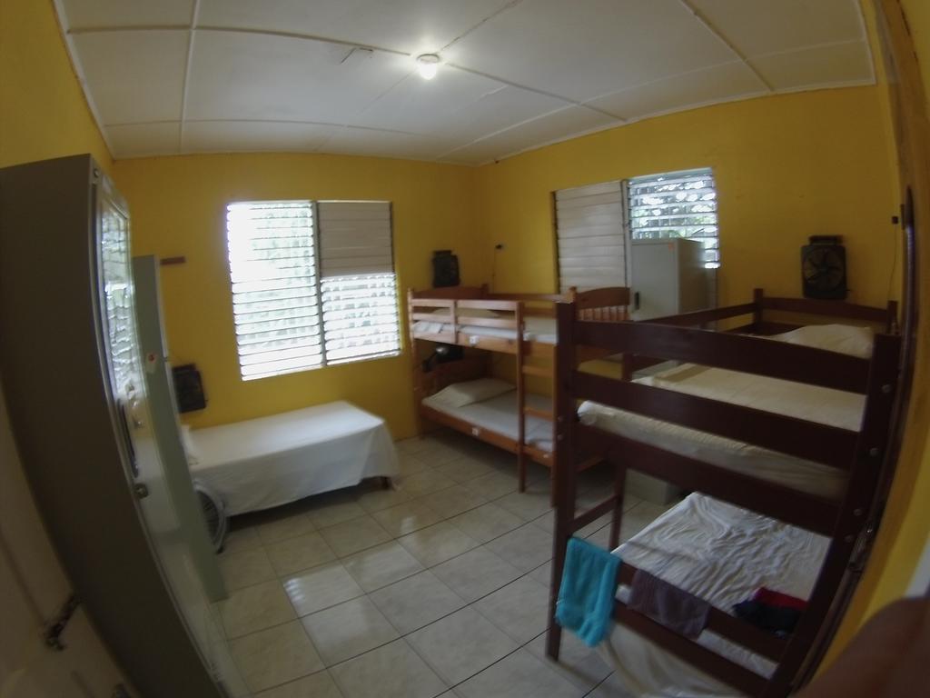 Reggae Hostel Kingston Room photo