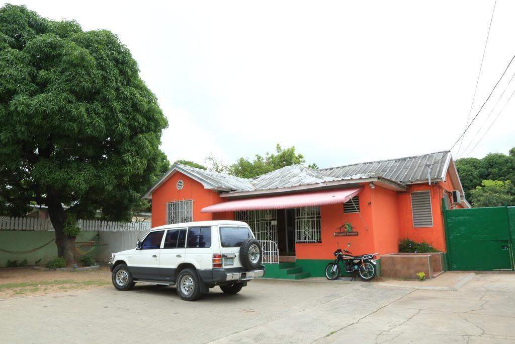 Reggae Hostel Kingston Exterior photo
