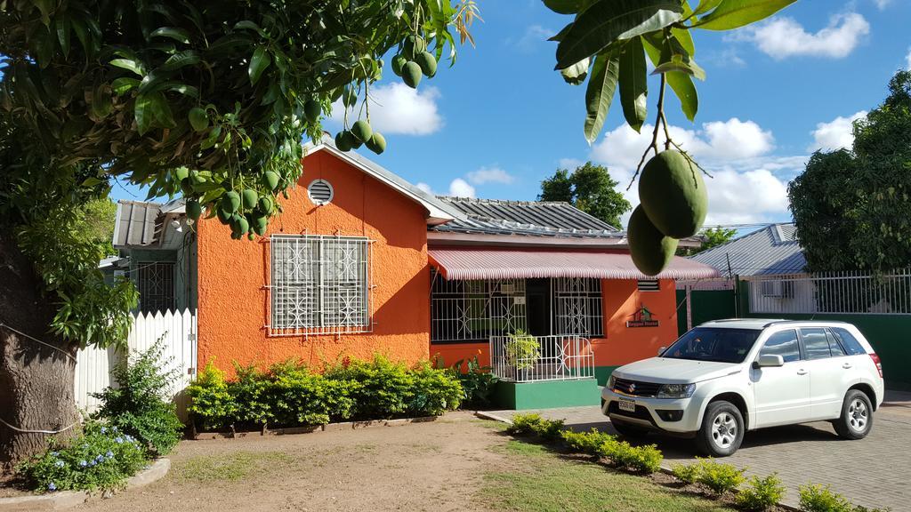 Reggae Hostel Kingston Exterior photo